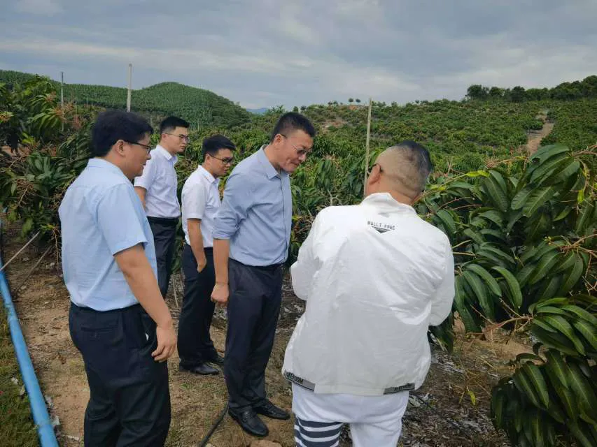 三亚支行：解锁金融服务自贸港建设的“五大法宝”